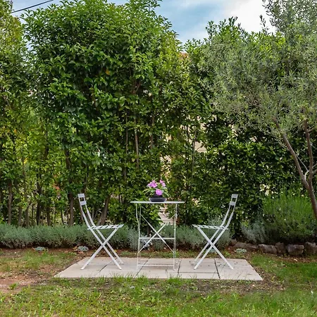 2bdr App, Pet Welcome, 999 * Rabac