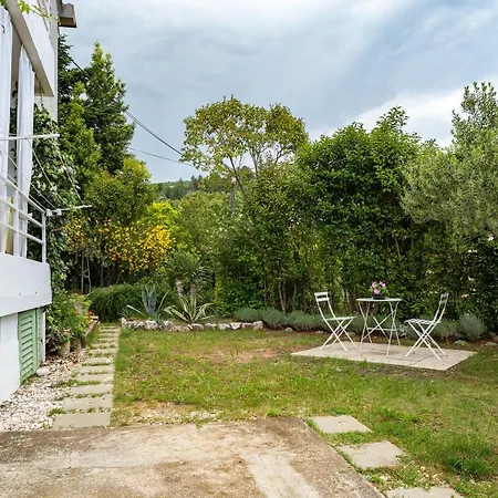 2bdr App, Pet Welcome, 999 * Rabac