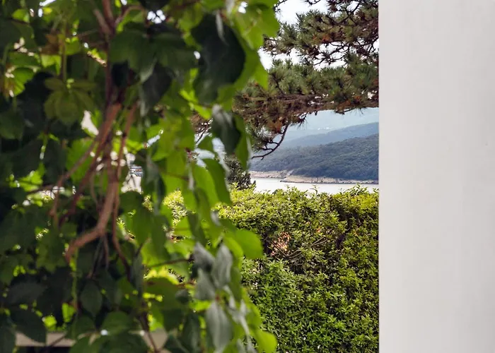 2bdr App, Pet Welcome, 999 * Rabac